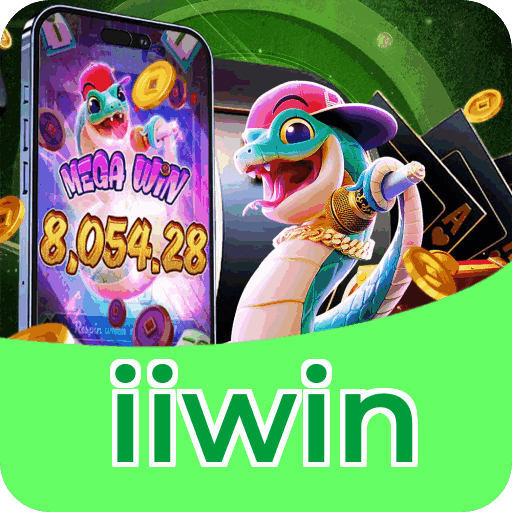 Interface iiwin